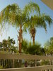 Palm Springs 7-31 thru 8-6-06 268.jpg